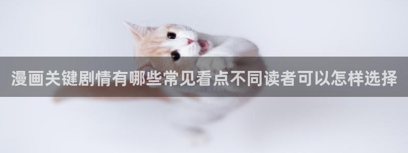 梦漫漫画漫画应用：漫画关键剧情有哪些常见看点不同读者可以怎样选择