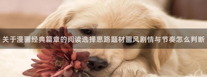 梦漫漫画热门推荐：关于漫画经典篇章的阅读选择思路题材画风剧情与节奏怎么判断
