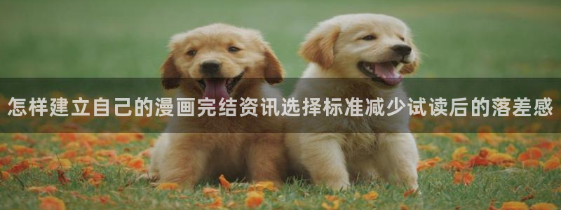 梦漫漫画作品更新：怎样建立自己的漫画完结资讯选择标准减少试读后的落差感