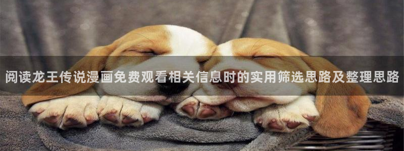 梦漫漫画恋爱漫画:阅读龙王传说漫画免费观看相关信息时的实用筛选思路及整理思路