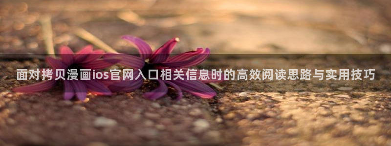 梦漫漫画连载作品:面对拷贝漫画ios官网入口相关信息时的高效阅读思路与实用技巧