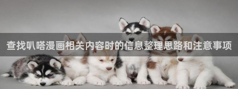 梦漫漫画阅读软件：查找叭嗒漫画相关内容时的信息整理思路和注意事项