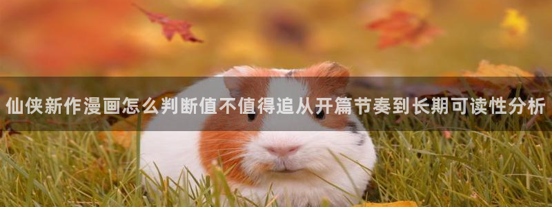梦漫漫画阅读指南